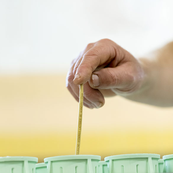 paille_aop Le Sainte Maure de Touraine